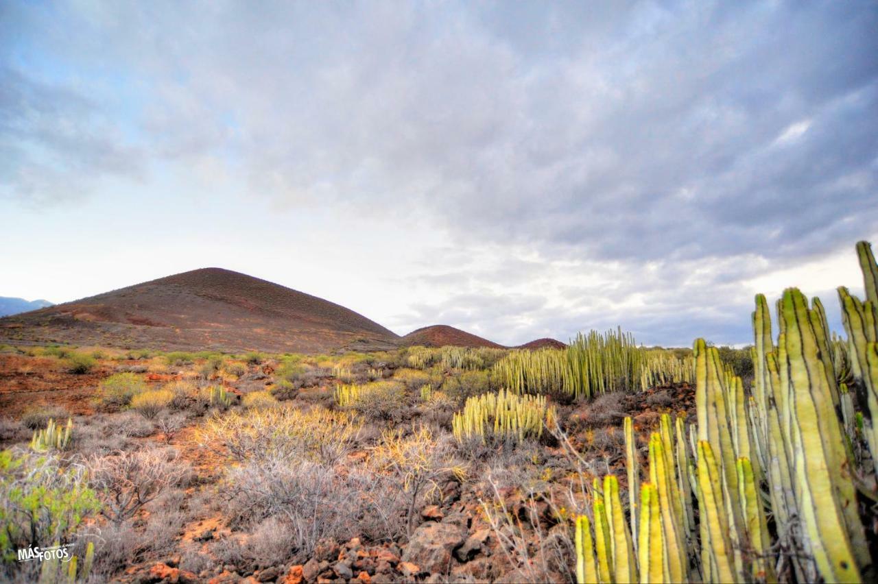 Naturaleza Viva El Socorro Екстер'єр фото